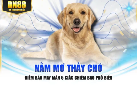 Nằm Mơ Thấy Chó - Điềm Báo May Mắn 5 Giấc Chiêm Bao Phổ Biến